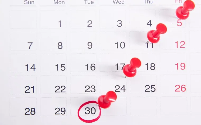 A calendar with a date circled in red push pins